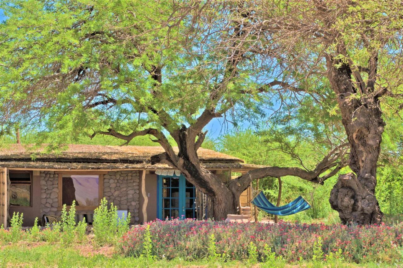 Villa Casita La Brea San Pedro De Atacama Esterno foto